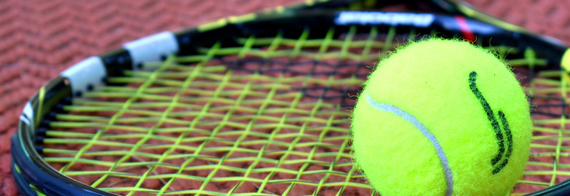 tennis ball on a racket