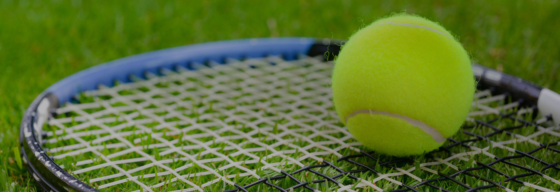 tennis ball and racket on grass